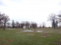 Chicago Ghost Hunters Group investigates Archer Woods Cemetery (8).JPG